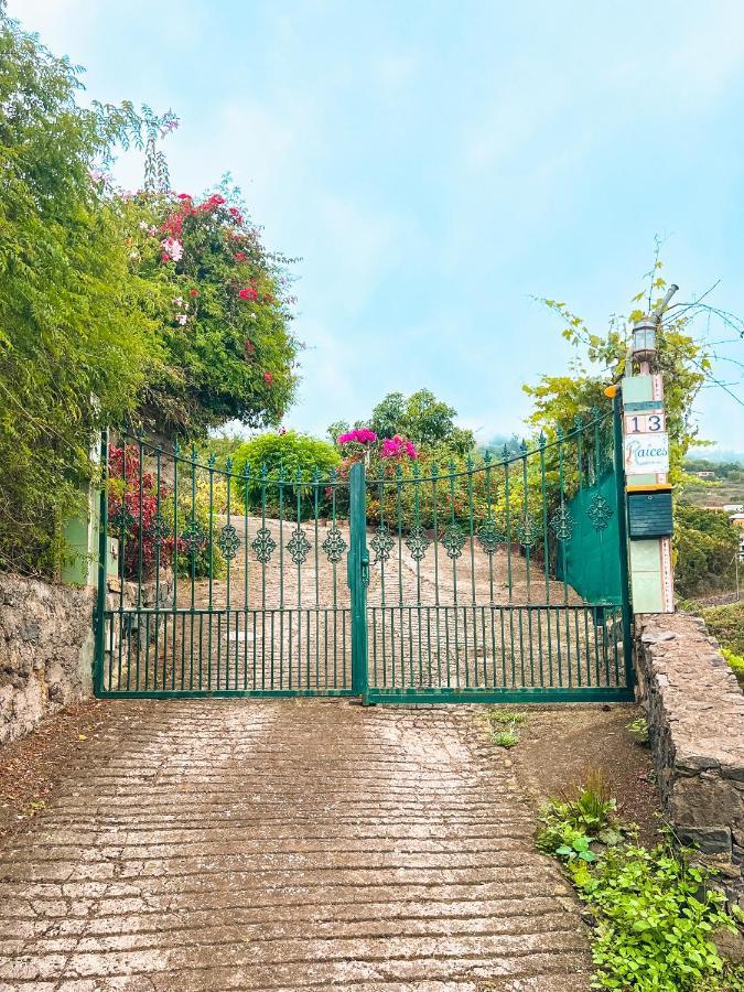 Apartment With Huge Deck Nestled In Marvelous Gardens - Nidos La Orotava Dış mekan fotoğraf