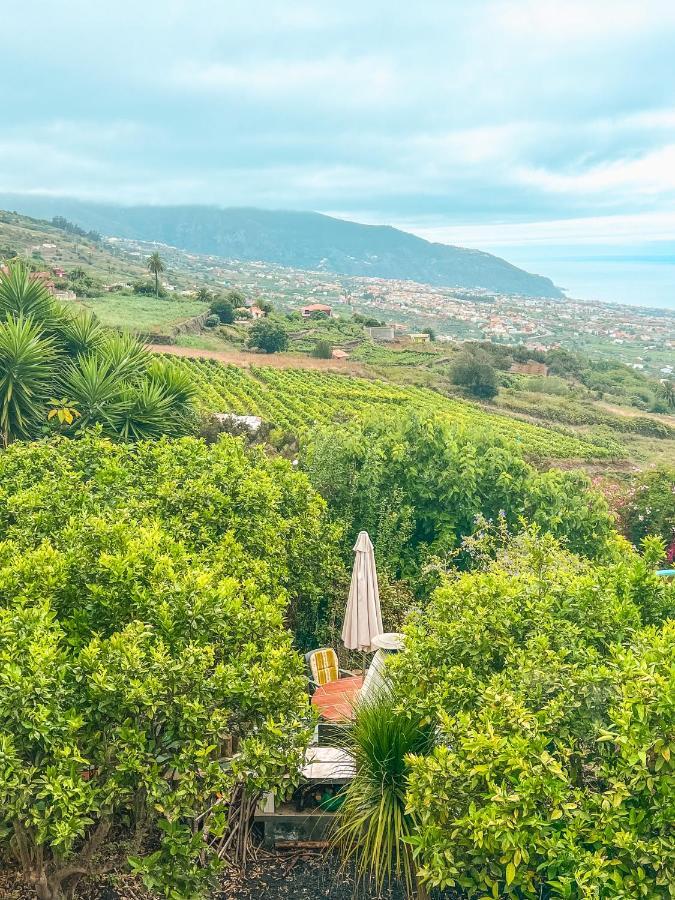 Apartment With Huge Deck Nestled In Marvelous Gardens - Nidos La Orotava Dış mekan fotoğraf